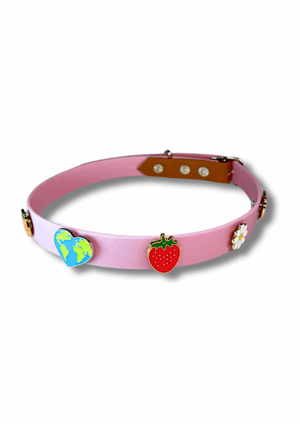 Collare cane personalizzato con Doggyz